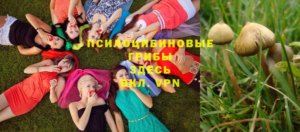 дживик Мурманск