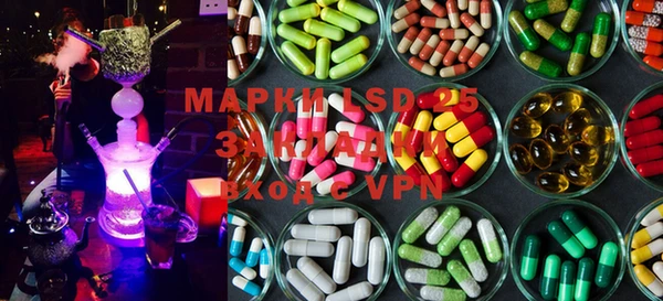 амф Кострома